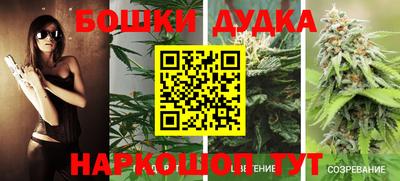 бошки Бийск