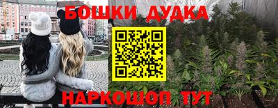 бошки Бийск