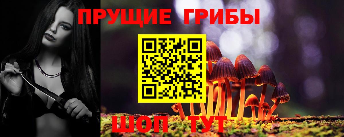 Галлюциногенные грибы мухоморы Донской